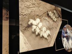 -秦始皇帝陵博物院-丽山园
