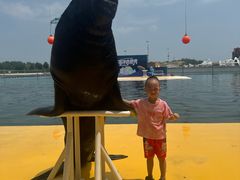 -秦皇岛乐岛海洋王国