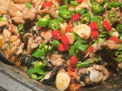 经典紫苏味蛙锅-蛙来哒(方圆荟店)