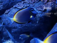 -成都浩海立方海洋公园