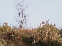 -中国天府农业博览园