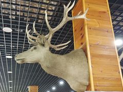 -北京鹿世界主题园