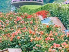 -点都德(广州白云山景区南门店)