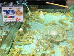 -渔民新村(番禺总店)