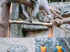 -杭州野生动物世界