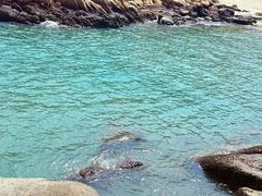 -那琴半岛地质海洋公园