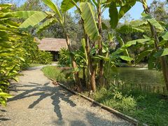 -大象粑粑造纸公园