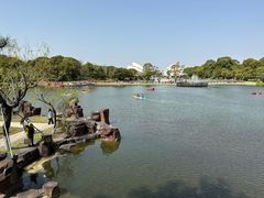-上海鲜花港