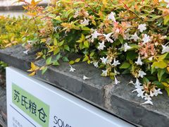 -云间粮仓