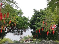 -深圳国际园林花卉博览园