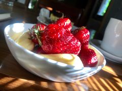 -斯多格书乡(北京大学畅春园店)