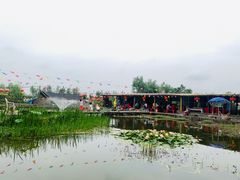 -同銮特种养殖场·龙虾垂钓