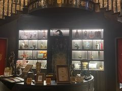 -雪灵魔法世界SHELLY’S TAROT(大良桂畔里店)