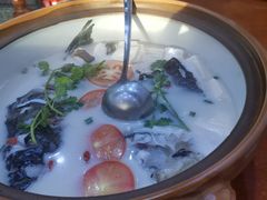 -全乐鱼馆·淳牌有机鱼直营店