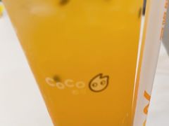 -CoCo都可(友谊阳光店)