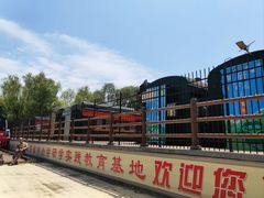-微山湖红荷湿地景区