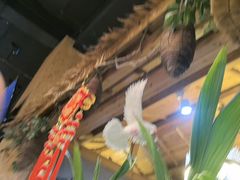 -龙泉人椰子鸡(龙昆南总店)