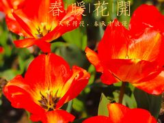-静安雕塑公园