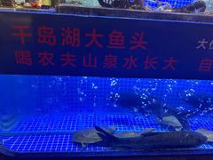 -鸽子侯·家宴·平价海鲜(绿地店)