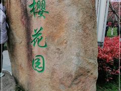 -高东镇樱花园