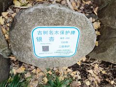 -秋霞圃