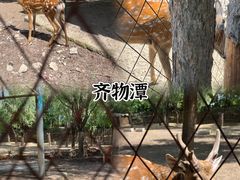 -Catail前苑(前门大街店)