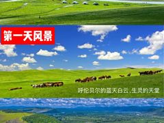 -呼伦贝尔大草原