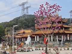 -仙岳公园