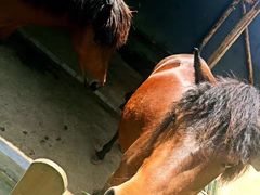 -瑞博尔花园酒店(太周创新产业园店)