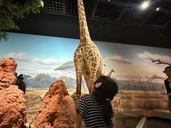 -陕西自然博物馆