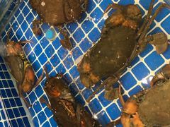 -海鲜城大家餐厅