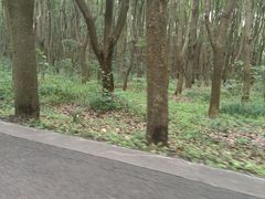 -同里国家湿地公园
