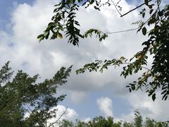 -亚龙湾国际玫瑰谷