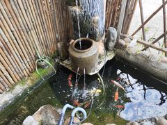 -武夷山旧街壹号溪岸旅馆(三姑度假区店)