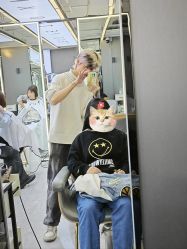 -藤野造型烫发染发