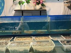 水产区-金谷园饺子·烧烤(人大总店)