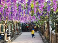 -呀路古热带植物园