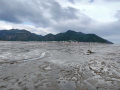 -北岐滩涂