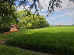 -嘉北郊野公园