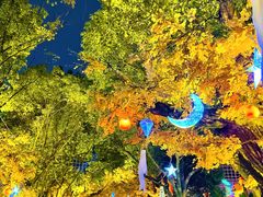 -横店影视城梦幻谷园区