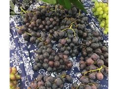 -世纪联华(吴淞店)