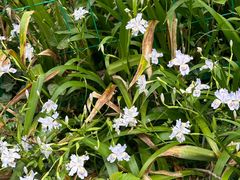 -上海佘山国家森林公园西佘山园