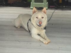 -和福餐馆(西江古街店)