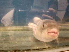 -永安鱼庄·镇江菜(东吴路店)