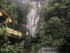 -四会奇石河风景区