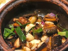 -大榕树下顺德菜(融创茂店)