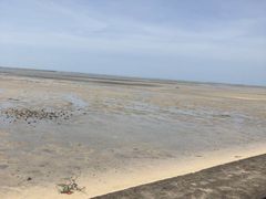 -北海金海湾红树林生态旅游区