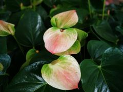 -上海静安洲际酒店-商务中心