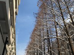 -南京大学游泳馆