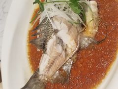 -T11生鲜超市(朝阳公园店)